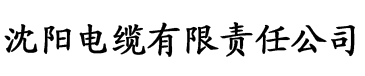 亚洲精品AⅤ无码精品电缆厂logo